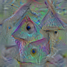 n02843684